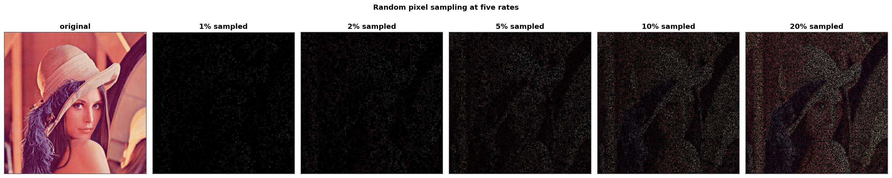 Original Lenna image alongside five views showing 1, 2, 5, 10, and 20 percent random pixel samples on a black background